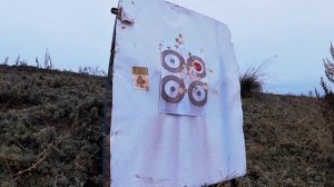 Отстрел киплауфа Лис 121 223.rem. Подбор навески пороха и пули патрона.Самозарядные патроны 223.rem