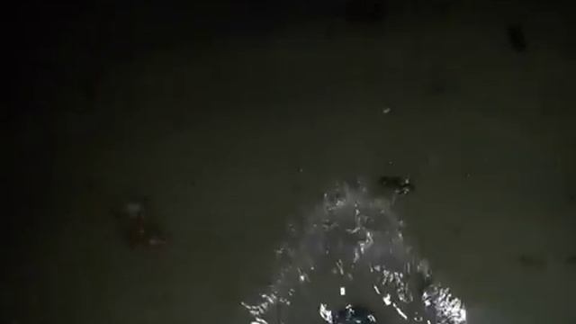 Херсонская 4 (подвал) 15.04.16