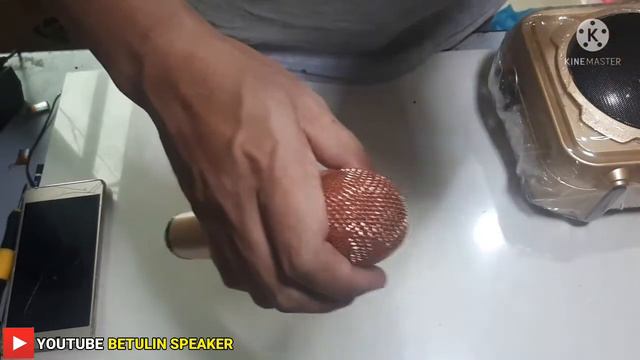 REVIEW & CARA PERBAIKI FILTER MICROPHONE SD 501 RUSAK PEOT смотреть онлайн