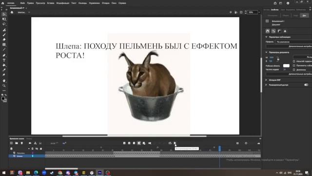 Сериал ''Шлёпа'' серия 1 ''Странный пельмень''