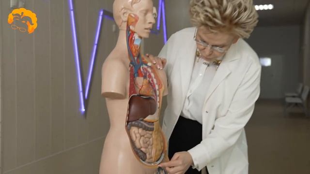 Кровь в стуле. Почему и что делать? смотреть онлайн