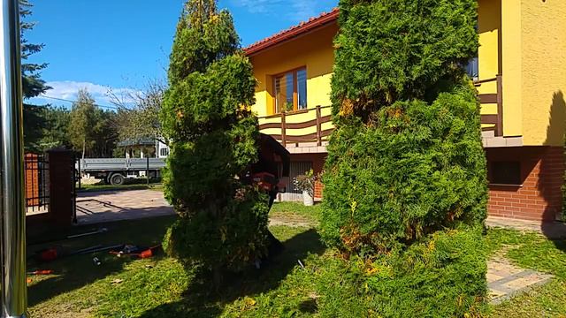 formowanie starej tuji szmaragd husqvarna akku 520iHD60 536LiHD60X 536LiHE3 stihl 520iHD60 смотреть онлайн