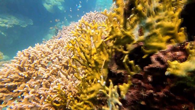 Brayka Bay reef resort Marsa Alam Egypt hotel full movie 4K / Брайка Бей Марса Алам Єгипет відео смотреть онлайн