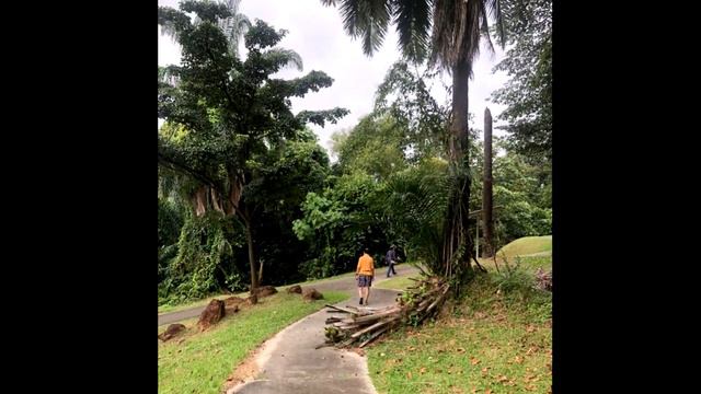 Taman Embah Bukit SUK Shah Alam & Taman Tasik Kemuning Park смотреть онлайн