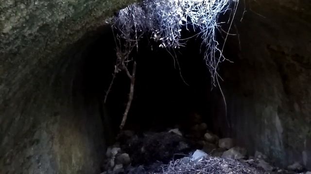 Античный город Сиедра. Февраль в Турции. Пещера. смотреть онлайн