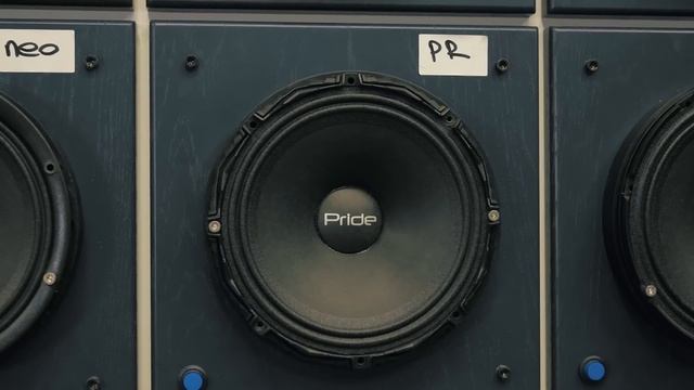 Обзор Pride M45 и Solo NEO 300. Починить саб за 5 минут? смотреть онлайн