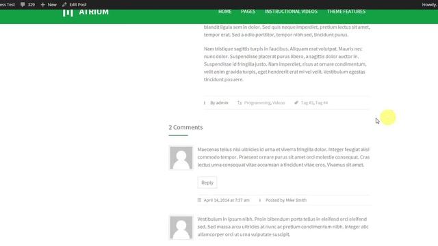 Atrium - Responsive One Page WordPress Theme: Global post settings смотреть онлайн