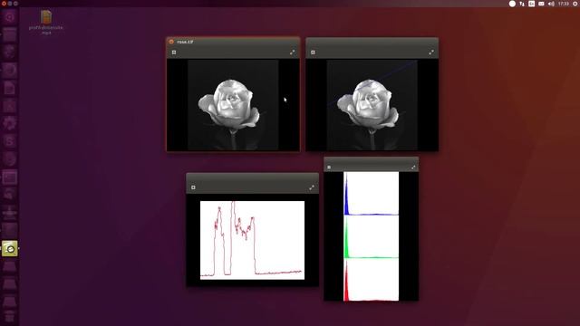 Intensity profile and Histogram of an image - OpenCV C++ смотреть онлайн