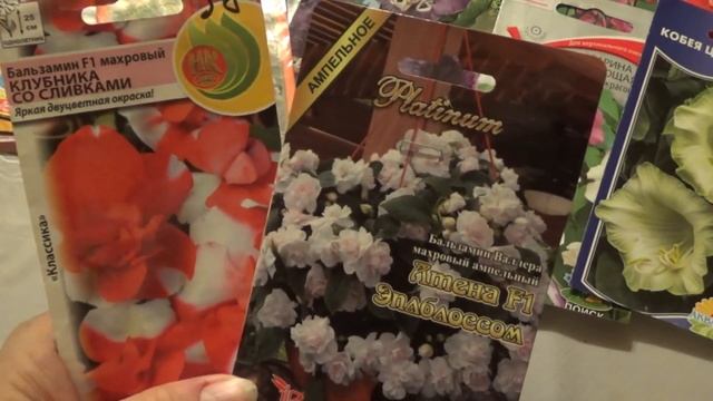 Какие цветы посеять в январе? смотреть онлайн