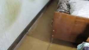 Как обогреть квартиру с помощью газовой плиты