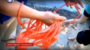 Применение конца Александрова