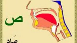 Арабский алфавит правильное произношение (Махрадж).