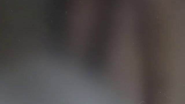 Видео №353903