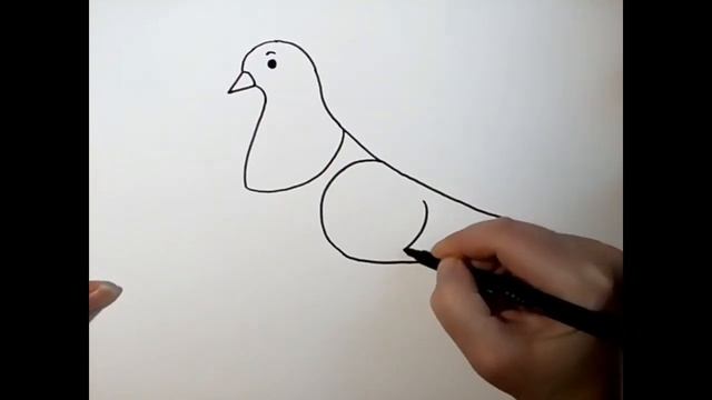 HOW TO DRAW A PIGEON /KAKO NACRTATI GOLUBA смотреть онлайн