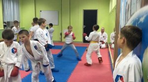 Отработка техники ударов / Работа на лапах каратэ