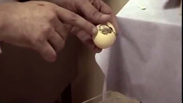 Среда обитания - Невидимый враг. Как электрическое поле ЛЭП, излучение, влияет на здоровье человека смотреть онлайн