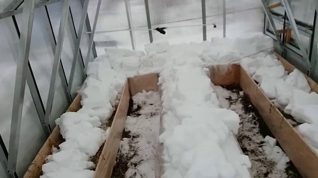 Теплица из профиля для ГКЛ и поликарбоната зимой смотреть онлайн