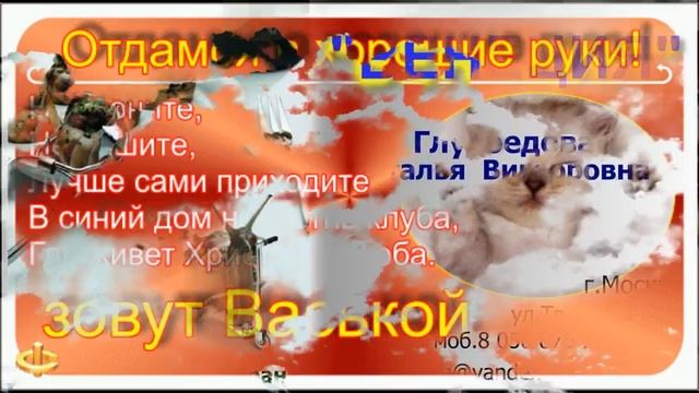 Сделать визитки цена смотреть онлайн