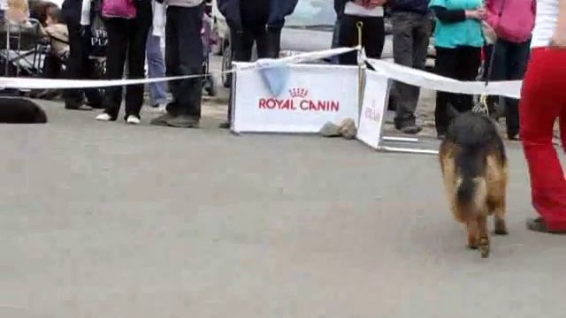 жета,оки и сравнение.wmv смотреть онлайн