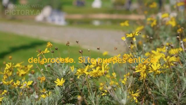 “Inspiradoras Frases sobre el Éxito que Cambiarán tu Vida" смотреть онлайн