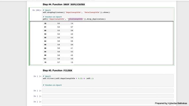 Run Pandas as Fast as Spark - 10 useful practical functions смотреть онлайн