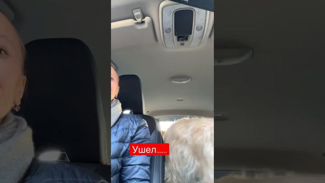 #франция #смешныевидео #жизньвофранции #собака смотреть онлайн