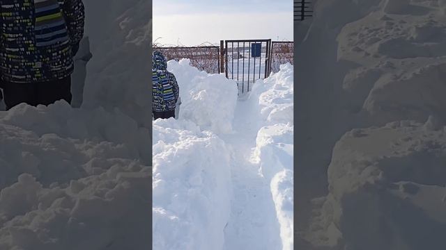 А как вы отмечаете 23 февраля? смотреть онлайн