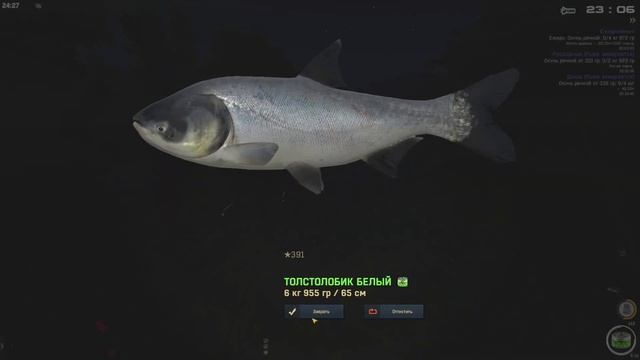Fisher Online / точка на белого толстолобика, получена бронзовая награда Чехия, пруд Рыбавицы смотреть онлайн