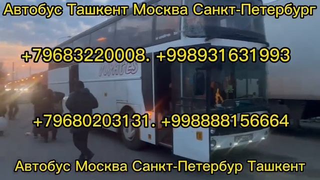 россия-узбекистан такси такси москва-ташкент санкт-петербург-узбекистан автобус!! +7968.3220008 смотреть онлайн