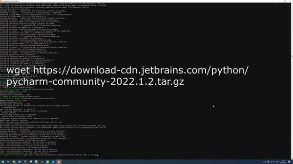Настраиваем WSL + GUI + Pycharm + Python + Docker