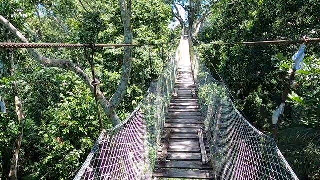 Visiting the Peruvian Amazon | Puerto Maldonado, Peru смотреть онлайн
