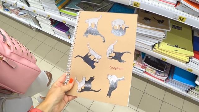 BACK TO SCHOOL/КАНЦЕЛЯРИЯ 2018/ЧЕЛЛЕНДЖ/СОБРАТЬ СУПЕР ДЕШЕВЫЙ РЮКЗАК В ШКОЛУ ДЕШЕВО Vs ДОРОГО/ Ашан