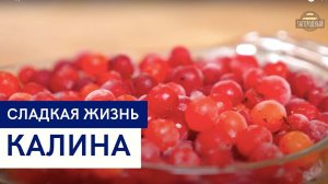 Калина \ Рецепты из калины \ Сладкая жизнь