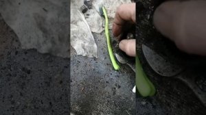 Не работает стартер на нексии причина