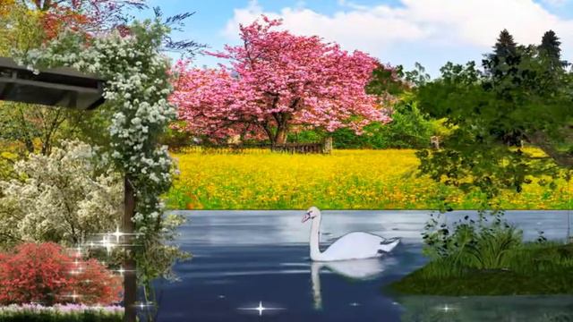 ProShow Slideshowплывёт лебедь смотреть онлайн