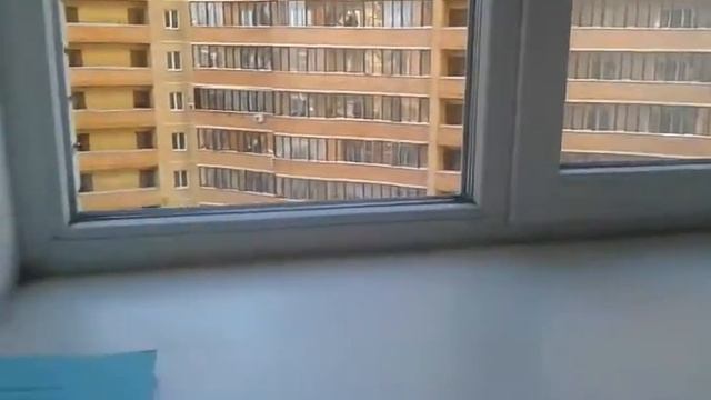 Замерз фикус. Что делать? смотреть онлайн