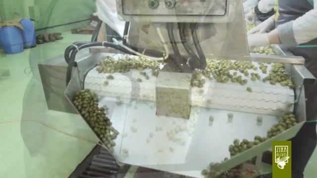 Процесс производства - ZIRA OLIVES Азербайджан смотреть онлайн