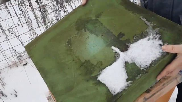 Даём канди с нозематом 2.03.23г. смотреть онлайн