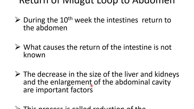 Development of GIT midgut смотреть онлайн