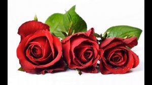 Стихи к 8 марта,Генадий Шпаликов , Советская Поэзия , читает Павел Беседин