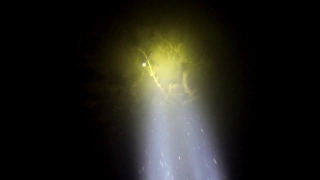 Балхаш, ночная ПО. Змееголов. смотреть онлайн