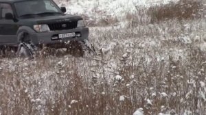 Гусеницы  на авто