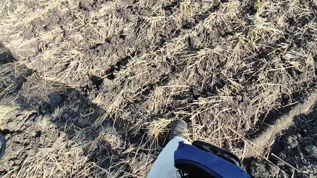 Мои находки на китайский металлоискатель MT-705 ( X-TERRA 705)