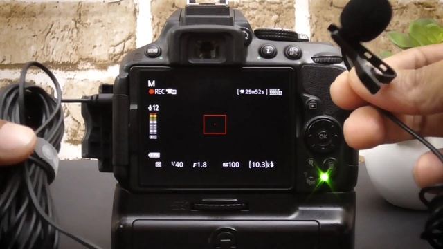 Nikon D5300 D5600 External Mic Settings