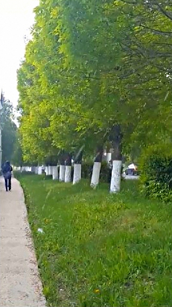 #Майский Снег и по Саратовской области пробежался смотреть онлайн