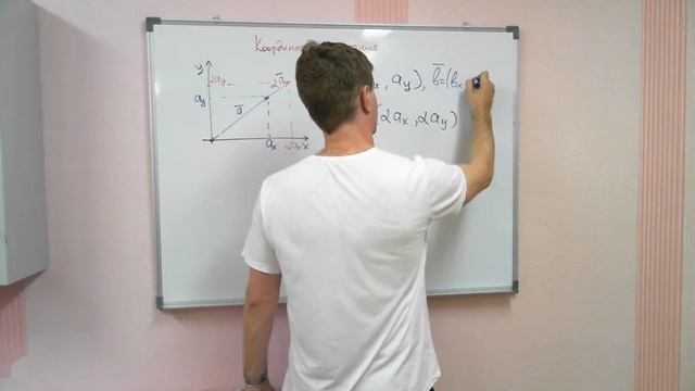 Векторы, лекция 1, часть 1 (А.В.Шанин) смотреть онлайн