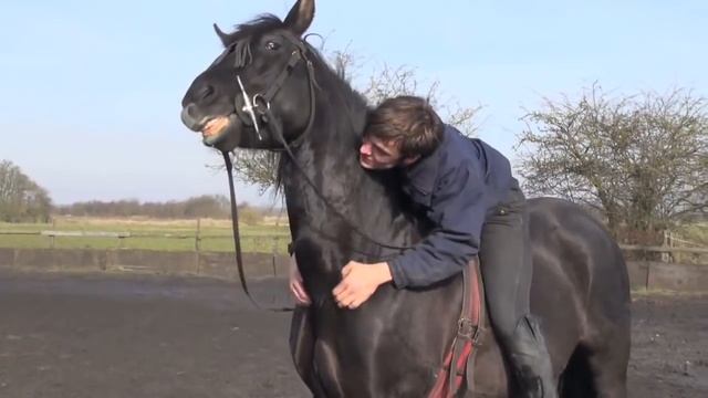 ЛОШАДИ В ДВИЖЕНИИ смотреть онлайн