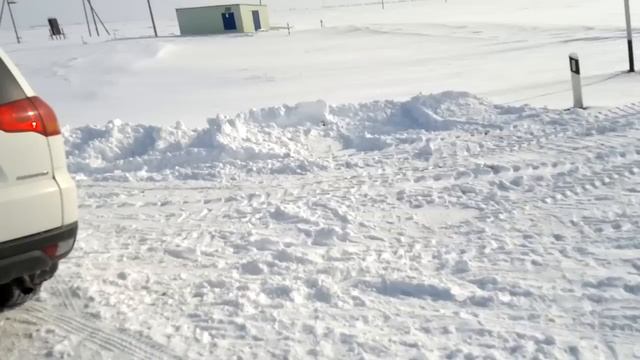 сходка 05-30 смотреть онлайн
