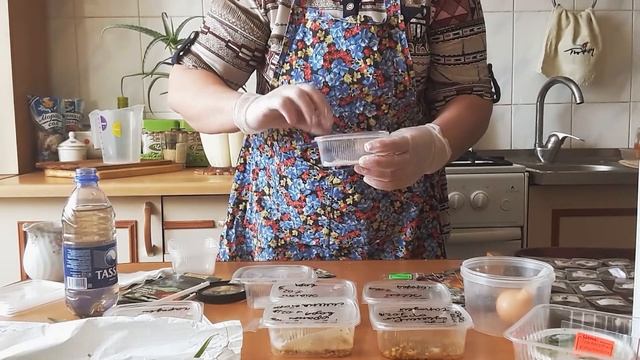 Как и чем замачивать семена ПЕРЦА, БАКЛАЖАН И ТОМАТОВ! смотреть онлайн