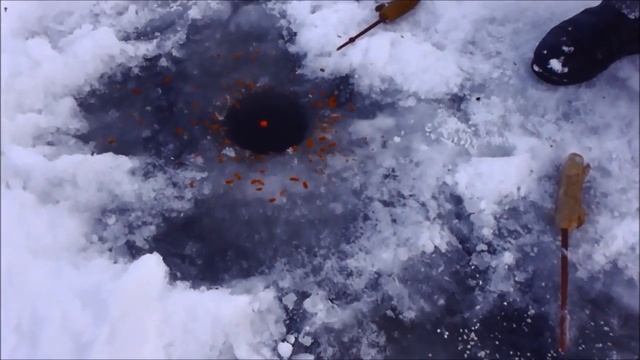 ЗИМНЯЯ РЫБАЛКА.КУРШСКИЙ ЗАЛИВ.КАШИРСКОЕ смотреть онлайн